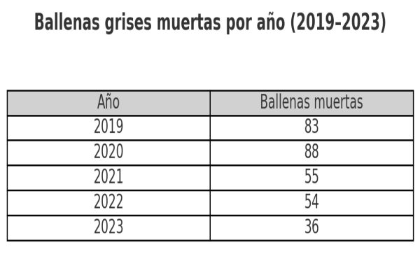 Crisis silenciosa en México: 92 ballenas grises muertas en Baja California Sur