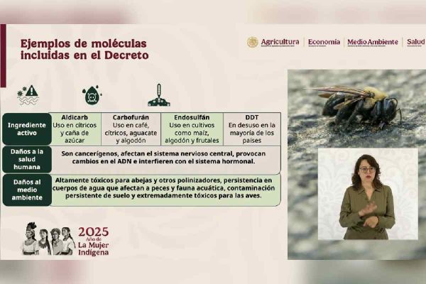 Decreto para prohibir plaguicidas en México