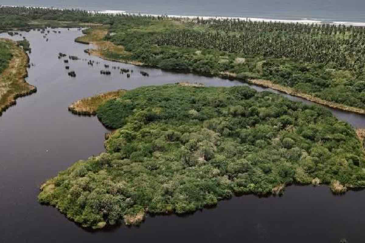 El proyecto tiene por objetivo construir la nueva infraestructura portuaria que se ubicará en el Vaso Il de la Laguna de Cuyutlán.