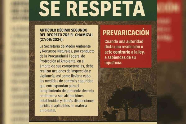Gobierno de Ciudad Juárez realizará Grito de Independencia en Megabandera del Chamizal pese a clausura de Profepa