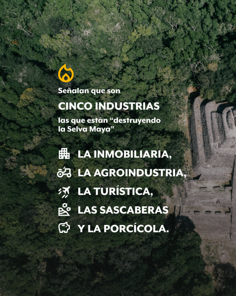 Industrias que afectan la selva maya según greenpaece