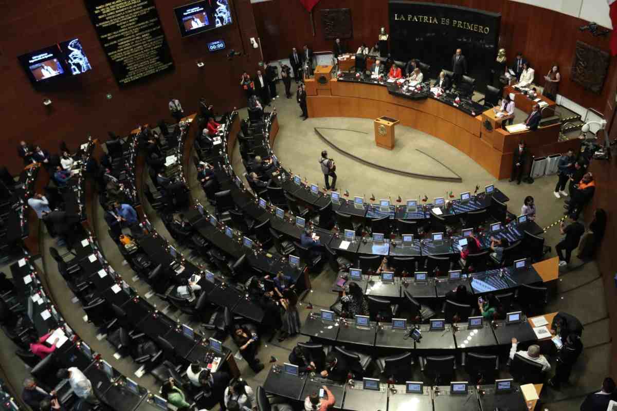 Irlanda Gabriela Pacheco Torres Senado