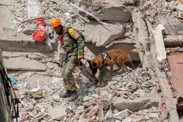 Labores de rescate por el sismo de 2017