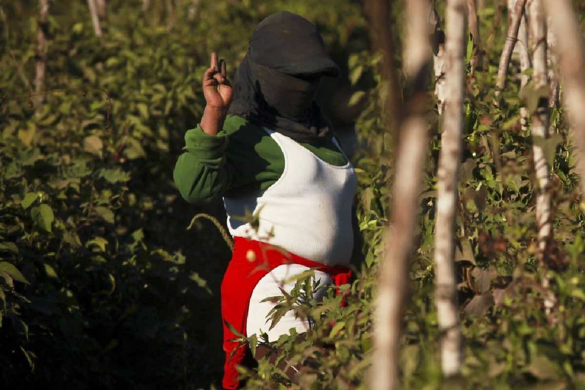 Maternar_y_cuidar_en el campo_trabajadoras agrícolas urgen a implementar guarderías y respetar licencia de maternidad