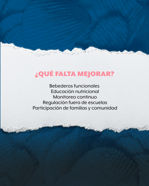 Mejoras en escuelas para evitar venta comida chatarra