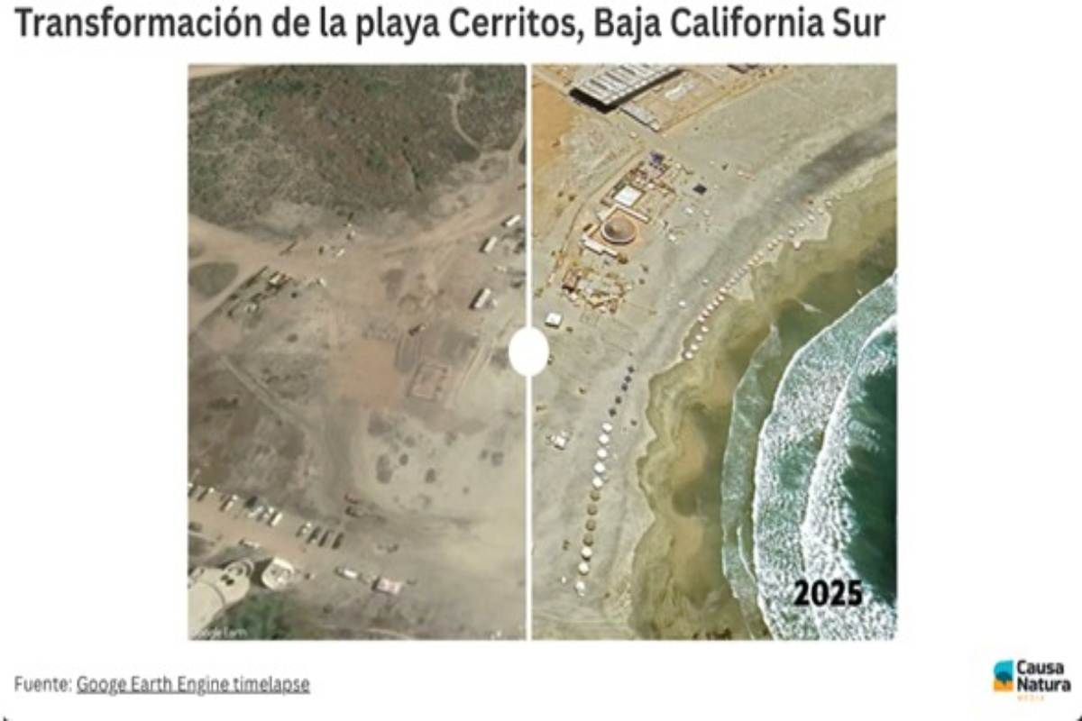 Playa Cerritos, BCS: prestadores de servicios piden a Semarnat ordenar área; reclaman terrenos