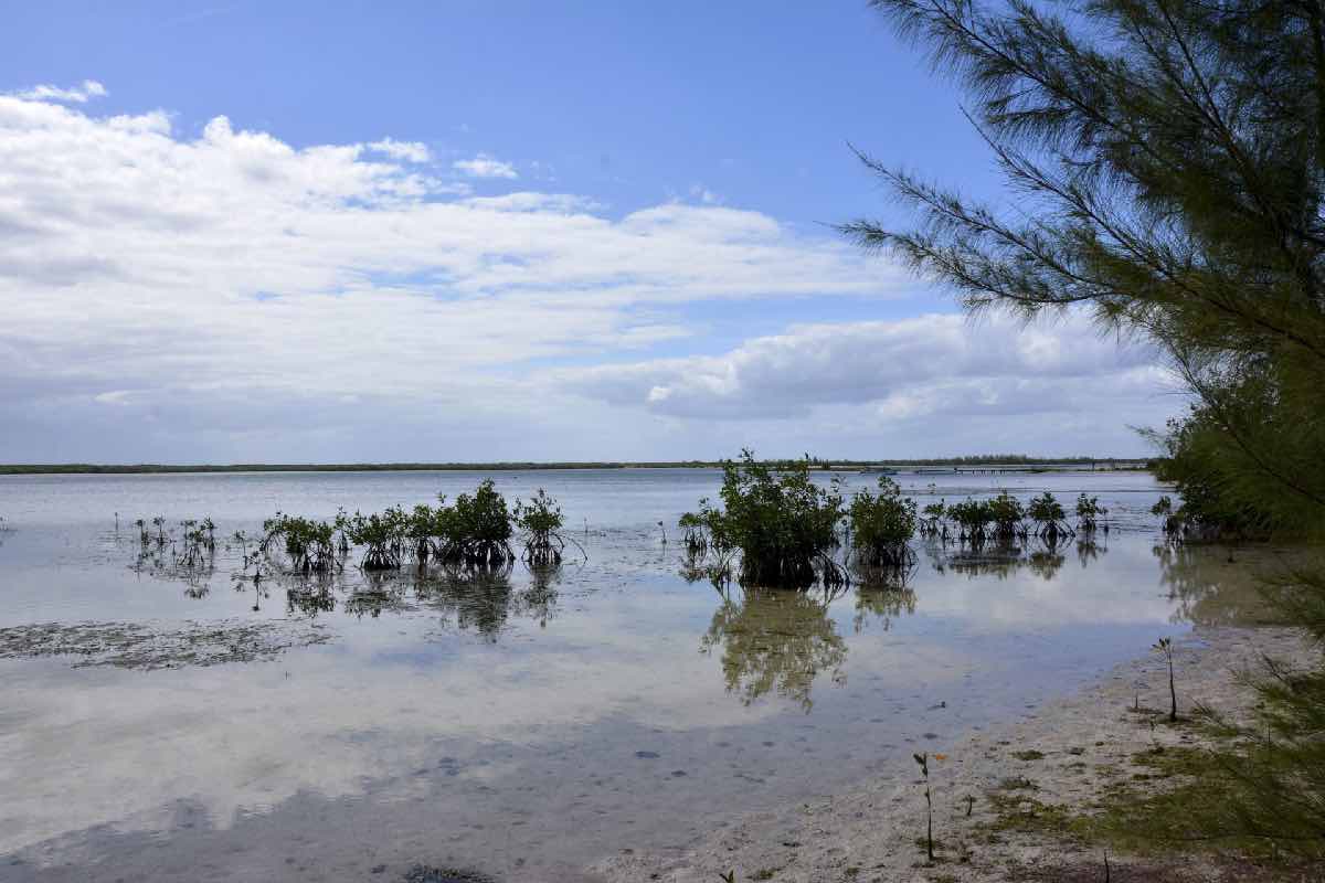 Presupuesto 2026 para Áreas Naturales Protegidas