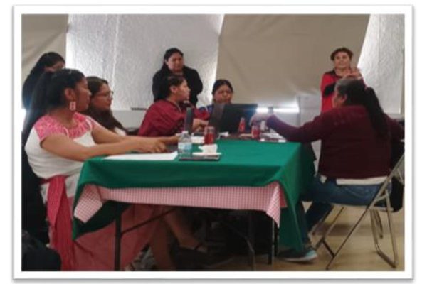 Proceso de traducción de la cartilla de derechos de las mujeres a lengua indígena