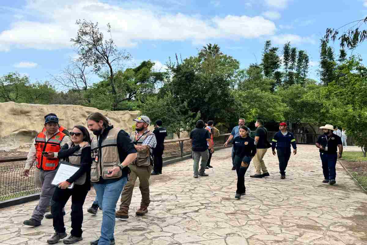 Profepa inicia investigación por posible negligencia en cuidado de osa en Zoológico de La Pastora