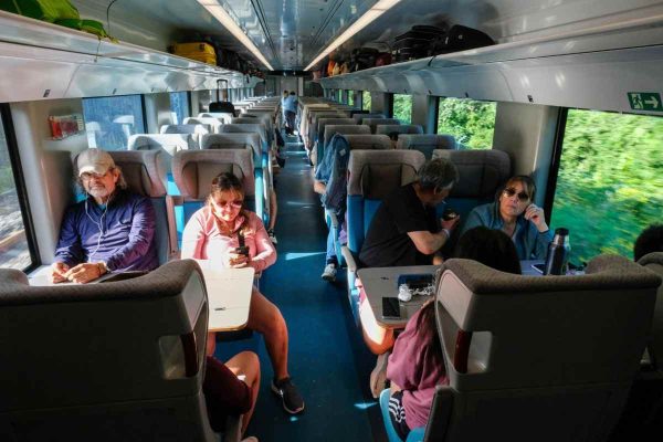 Retirarán árboles y fauna en 261 hectáreas para construir terminal de carga del Tren Maya en Cancún