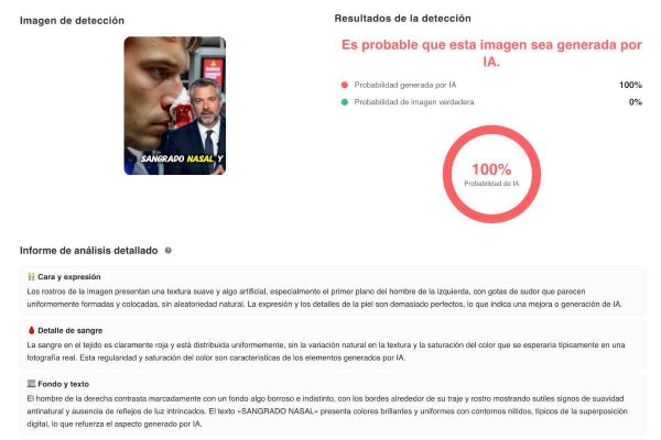 Fuente: Resultados de la herramienta Decopy AI