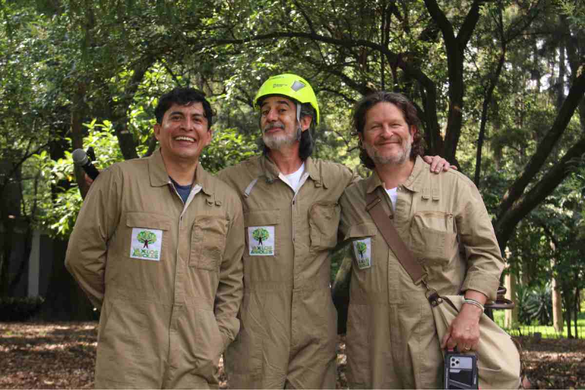 ¡Va por los árboles! Una campaña para adoptar y proteger el arbolado urbano de la CDMX