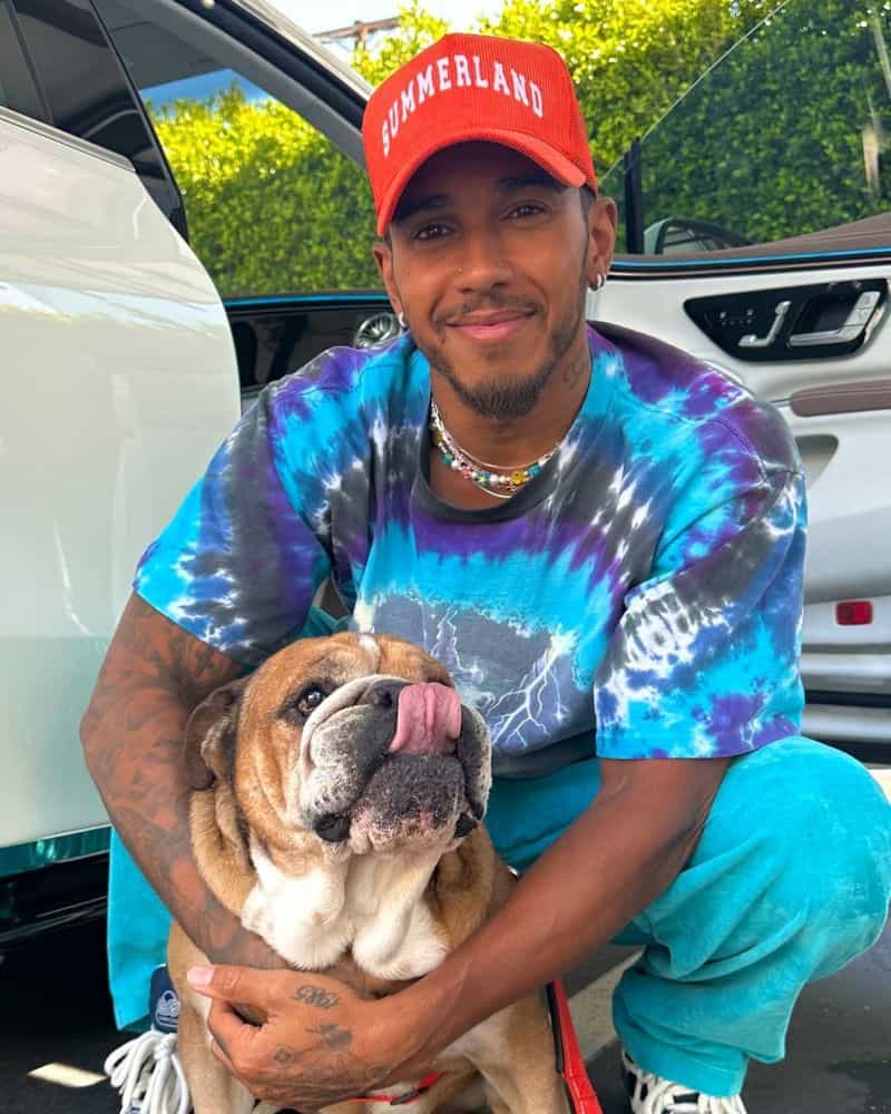 lewis hamilton perro roscoe