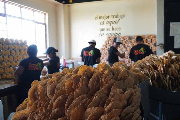 productos-locales-oxxo-hecho-en-mexico