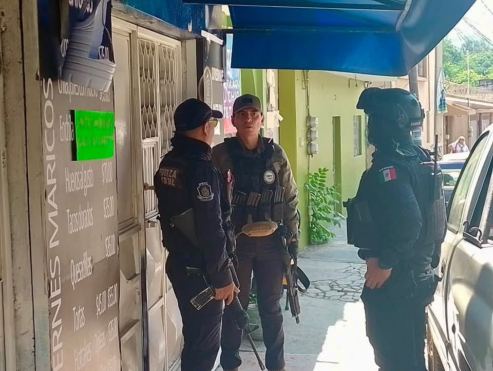 seguridad-guerrero
