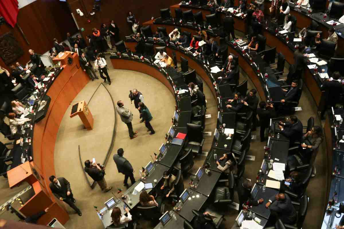sesión senado alejandro encinas oea