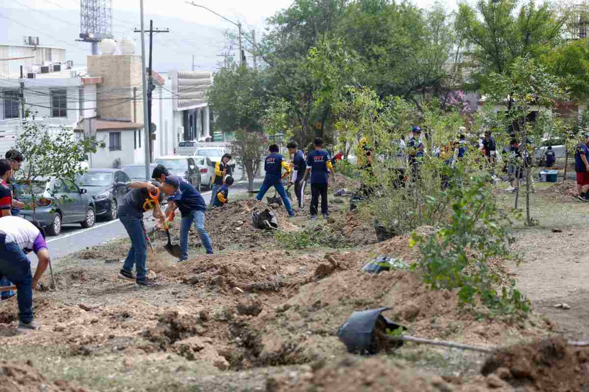 sheinbaum sembrando vida
