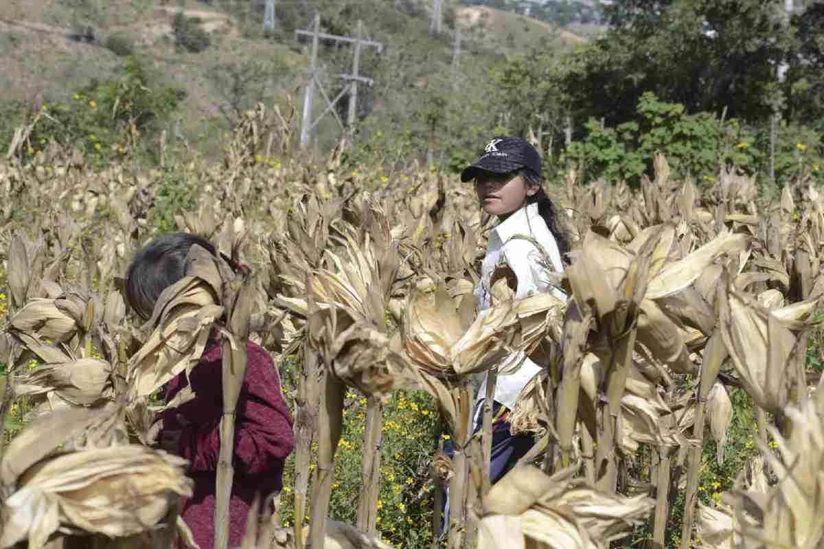 Maternar y cuidar en el campo: trabajadoras agrícolas exigen que se respete licencia de maternidad