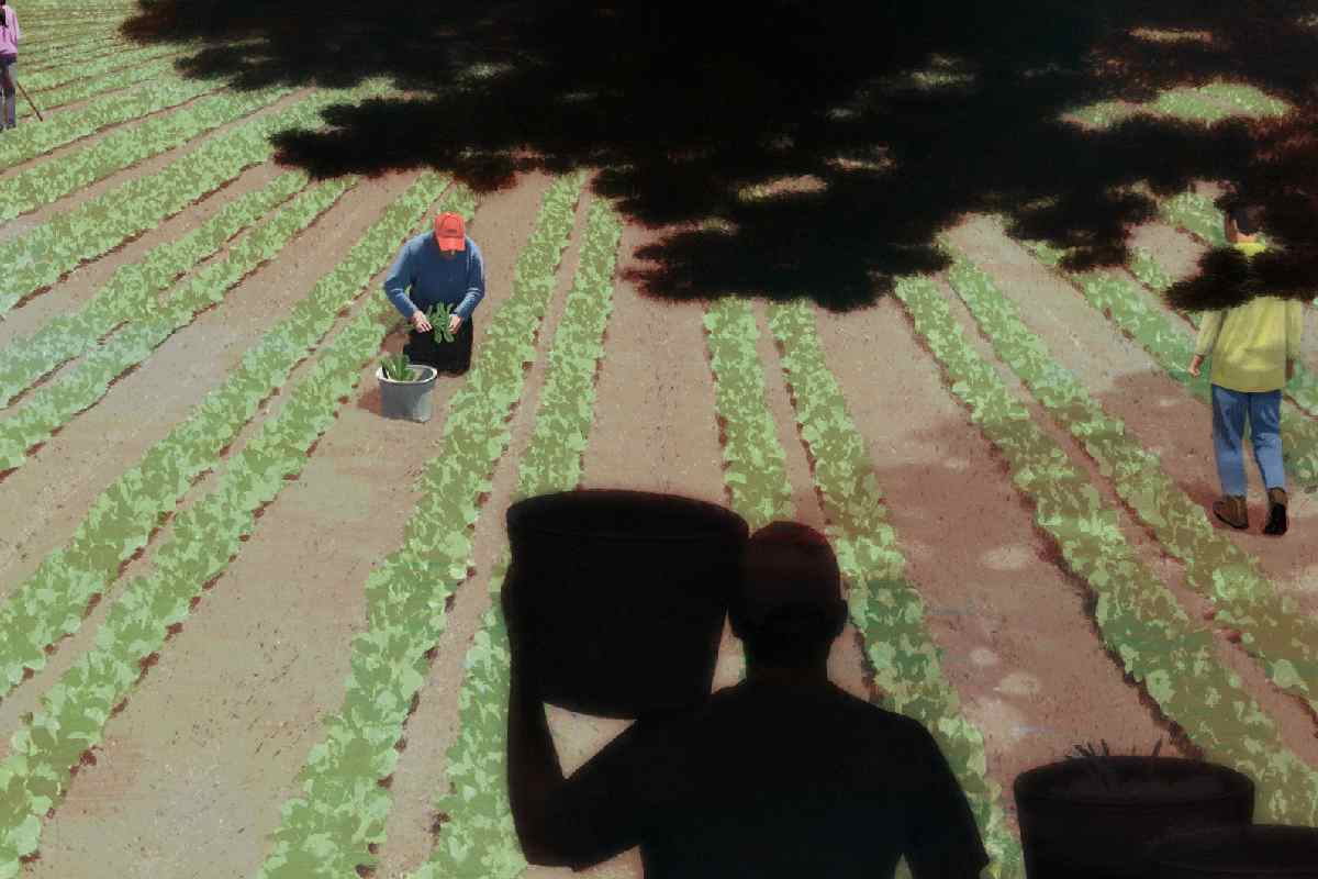 La trampa de la visa H-2A: le vendieron el sueño americano con la visa de trabajadora agrícola, pero terminó en pesadilla 