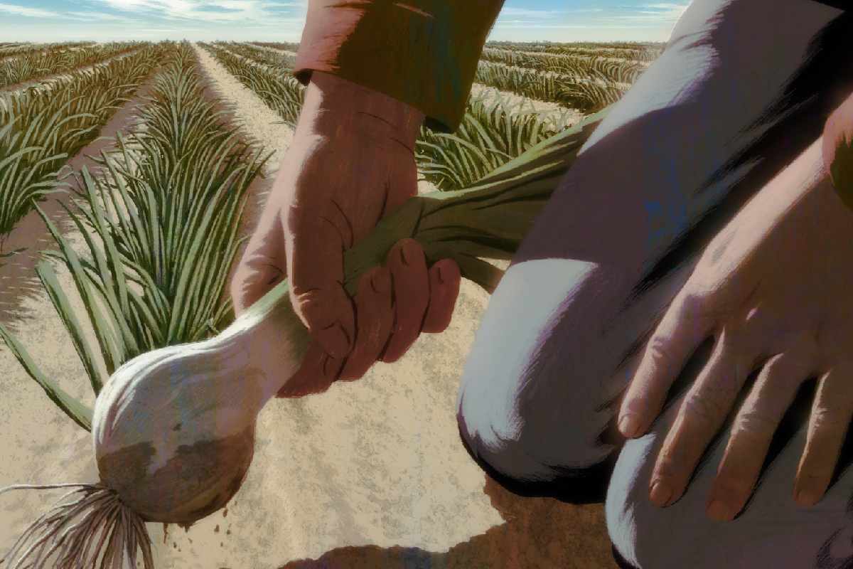 La trampa de la visa H-2A: le vendieron el sueño americano con la visa de trabajadora agrícola, pero terminó en pesadilla 