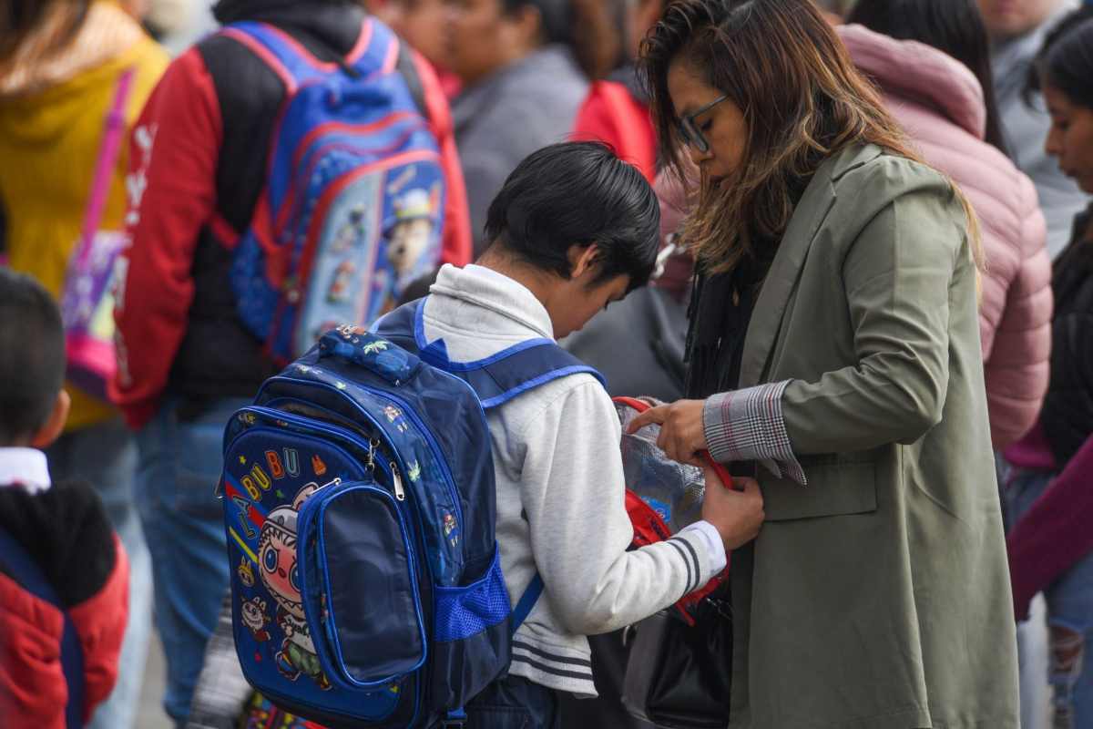 20 años de investigaciones sobre educación están perdidas tras baja de sitios web de INEE y Mejoredu