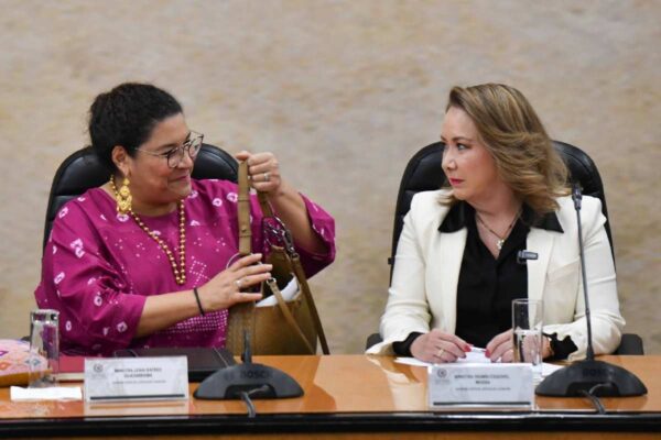 Batres y Esquivel impedimento juicio Salinas