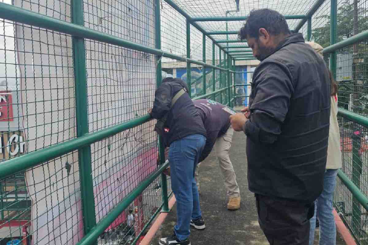 Búsqueda_de Sergio Jiménez se extiende a las barrancas de Álvaro Obregón_
