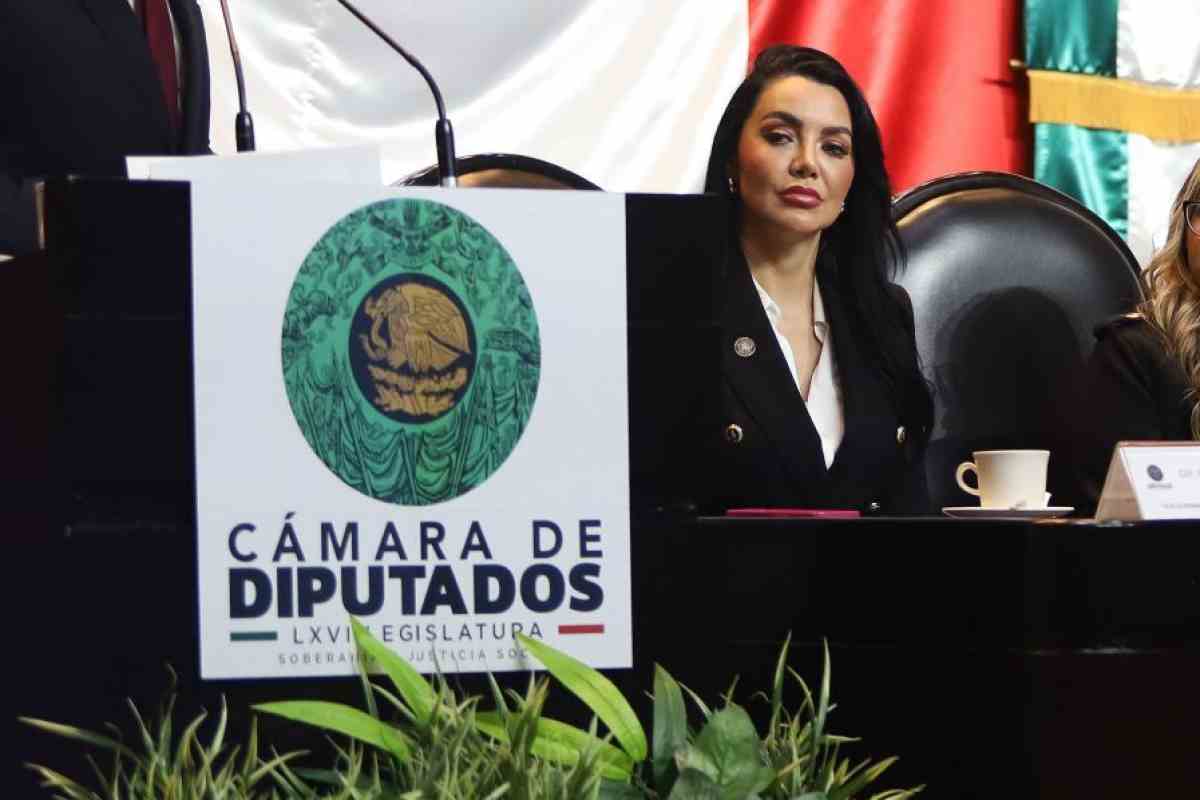 Cámara de diputados sesión