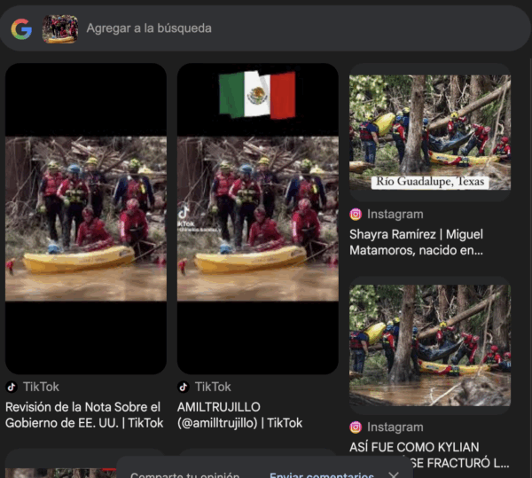 Fuente: Captura de pantalla de la búsqueda en Google Lens.