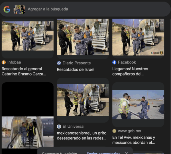 Fuente: Captura de pantalla de la búsqueda en Google Lens.