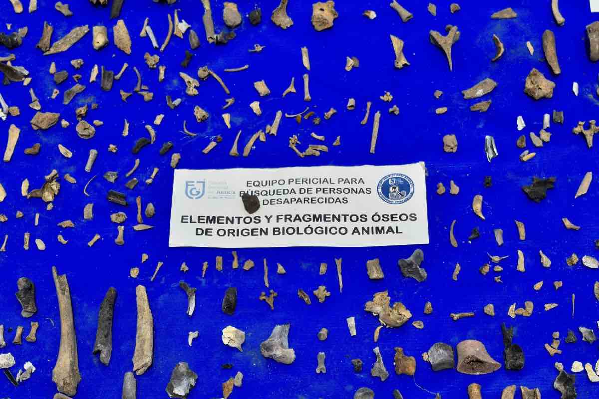 Colectivos y organizaciones piden remitir de manera urgente situación por desapariciones en México a la Asamblea General de ONU