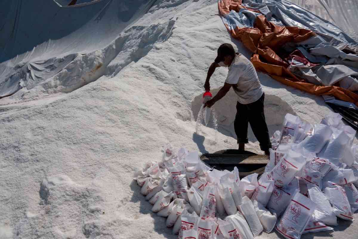 Colima salineras “Fue excluyente e irregular”- Ciudadanos denuncian anomalías en el proceso de consulta pública por ampliación del Puerto de_Manzanillo Animal Político