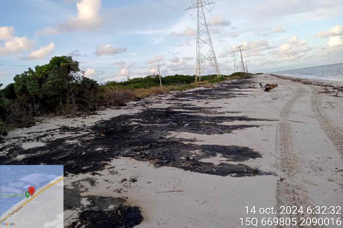 Comunidades del Golfo de México exigen a Sheinbaum frenar la extracción de combustibles fósiles_3