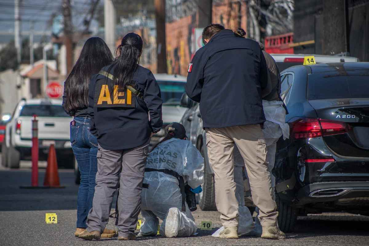 Creadores de contenido víctimas de violencia; labor informativa y vínculos criminales entre las causas, señala especialista