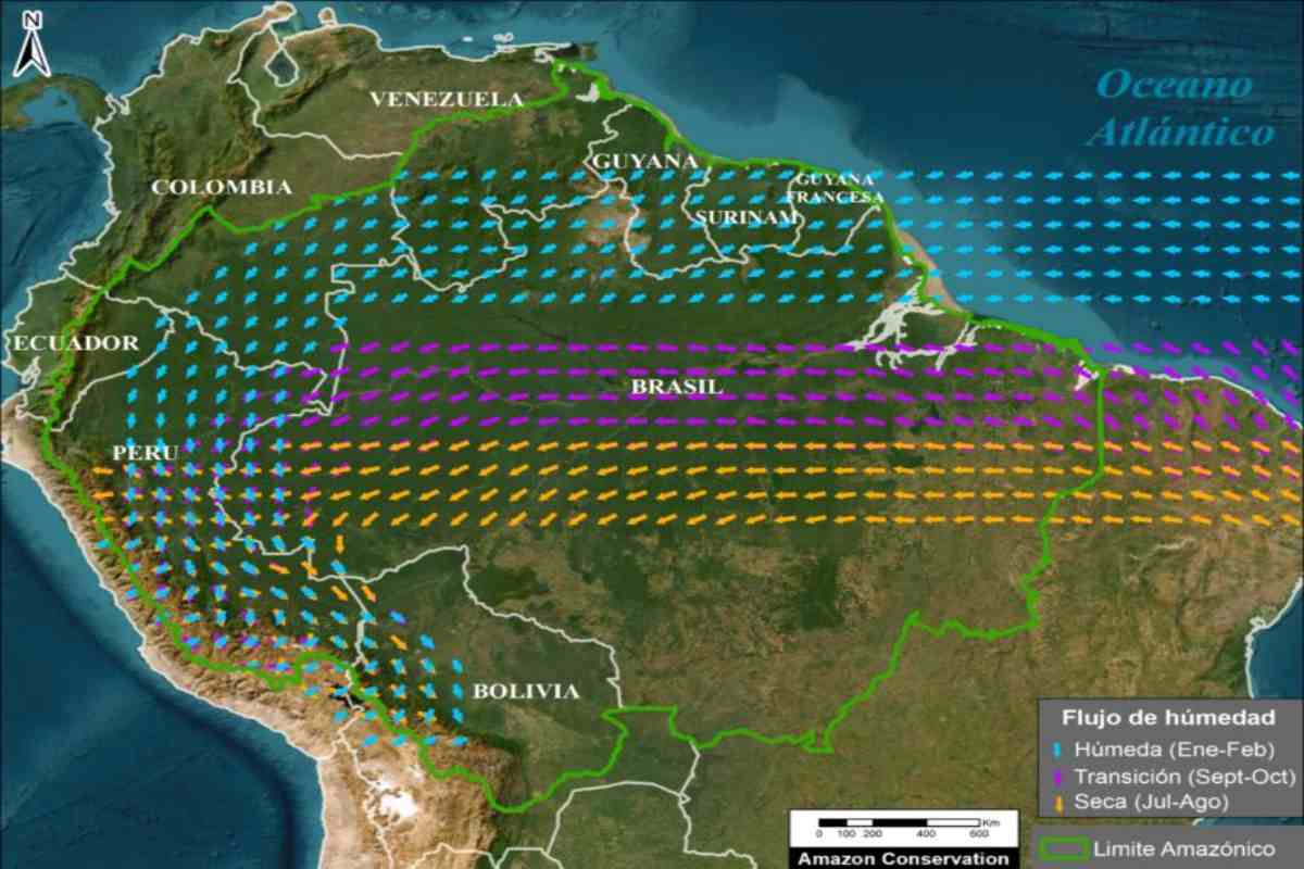 Deforestación en Amazonía de Brasil impacta en ecosistemas de Perú y Bolivia tras alteración de ríos