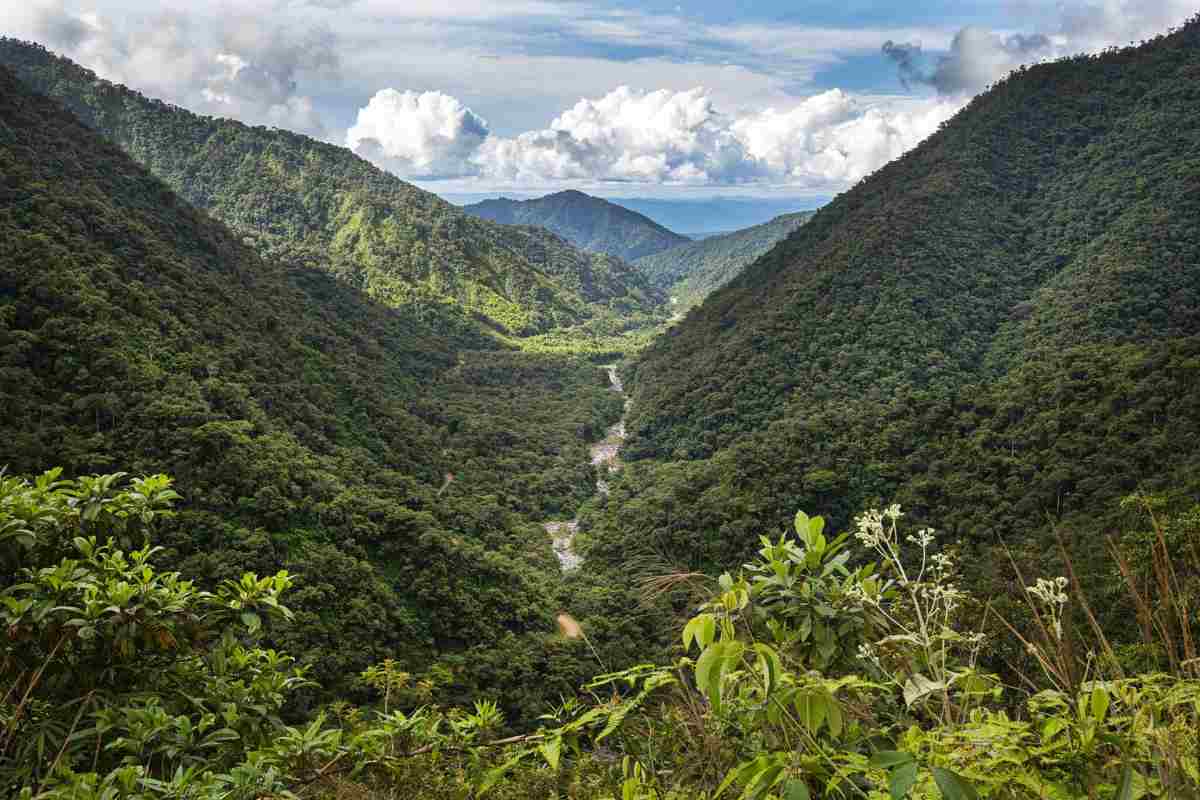 Deforestación en Amazonía de Brasil impacta en ecosistemas de Perú y Bolivia tras alteración de ríos