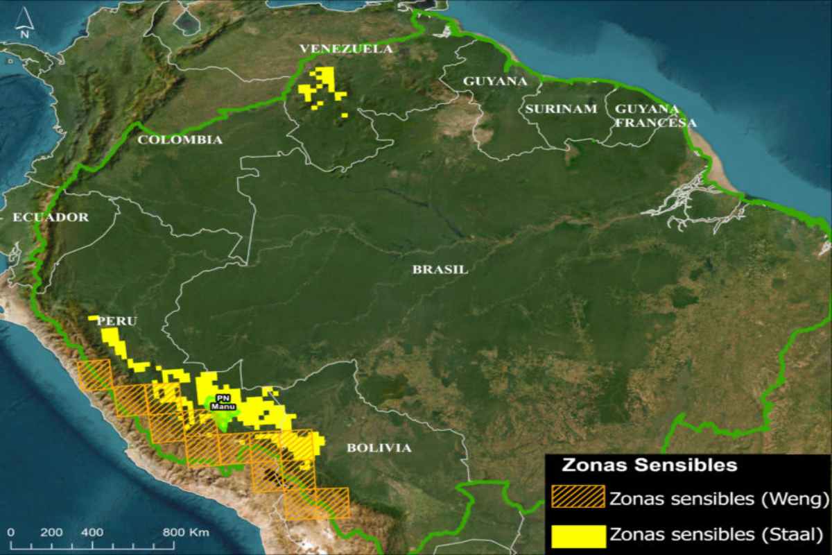 Deforestación en Amazonía de Brasil impacta en ecosistemas de Perú y Bolivia tras alteración de ríos