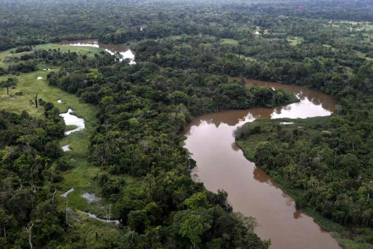 Deforestación en Amazonía de Brasil impacta en ecosistemas de Perú y Bolivia tras alteración de ríos