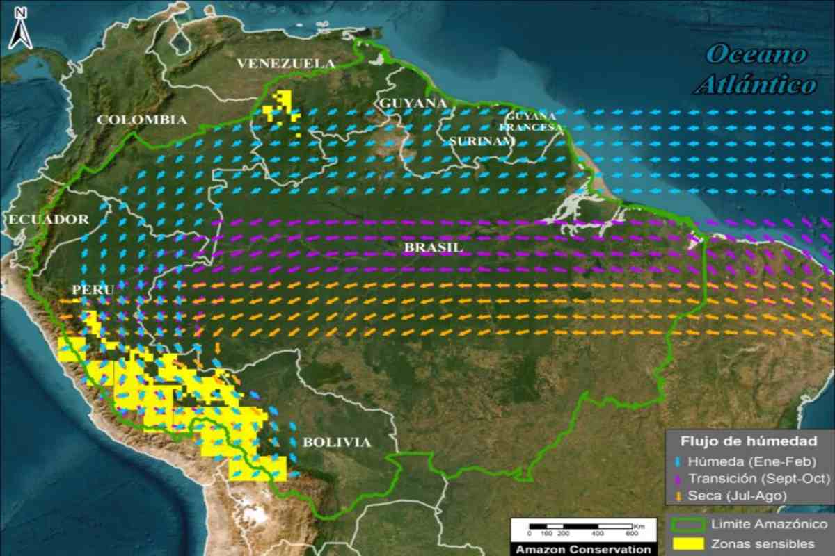 Deforestación en Amazonía de Brasil impacta en ecosistemas de Perú y Bolivia tras alteración de ríos