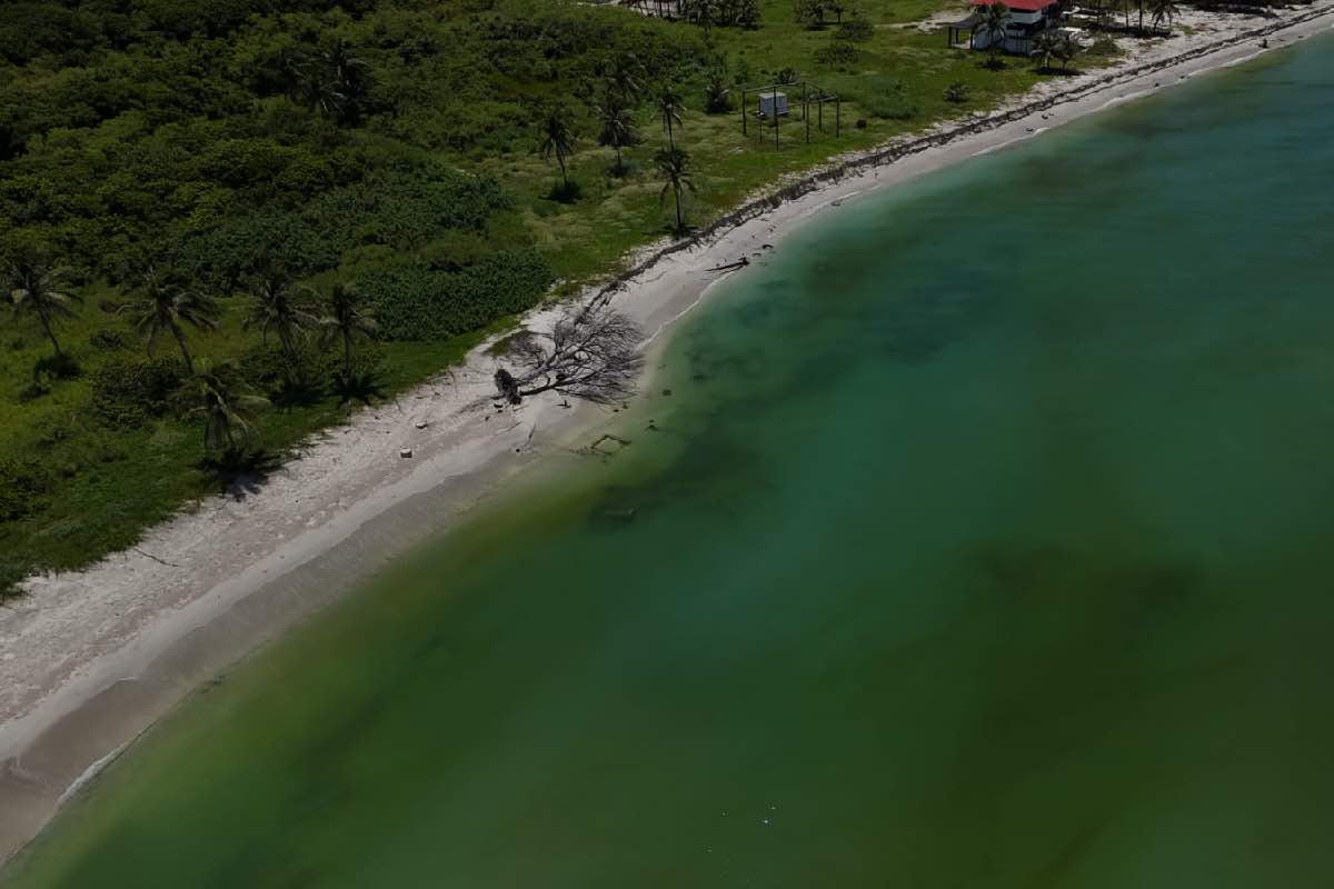 Derrame de hidrocarburos en el Golfo de México