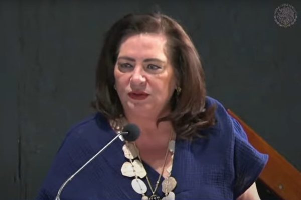 Guadalupe Taddei reforma electoral