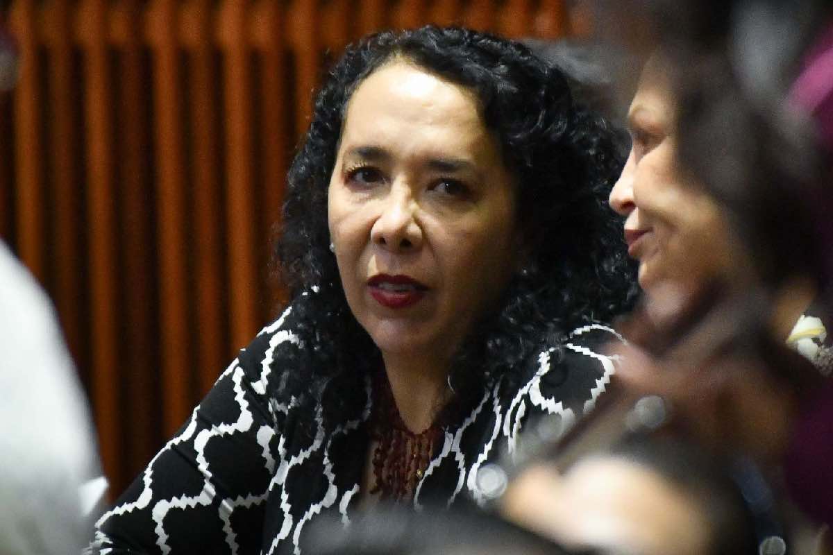 Hilda Araceli Brown Figueredo_Animal Político