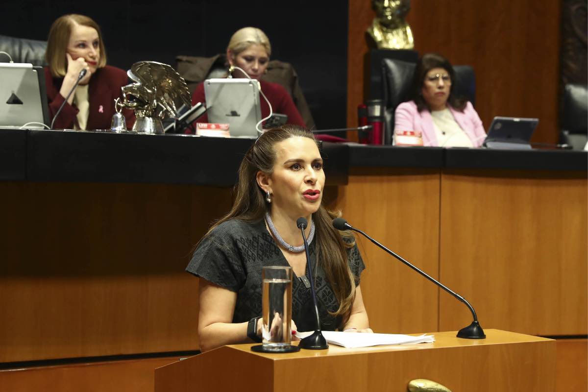 Ley_de Amparo Carolina_Viggiano