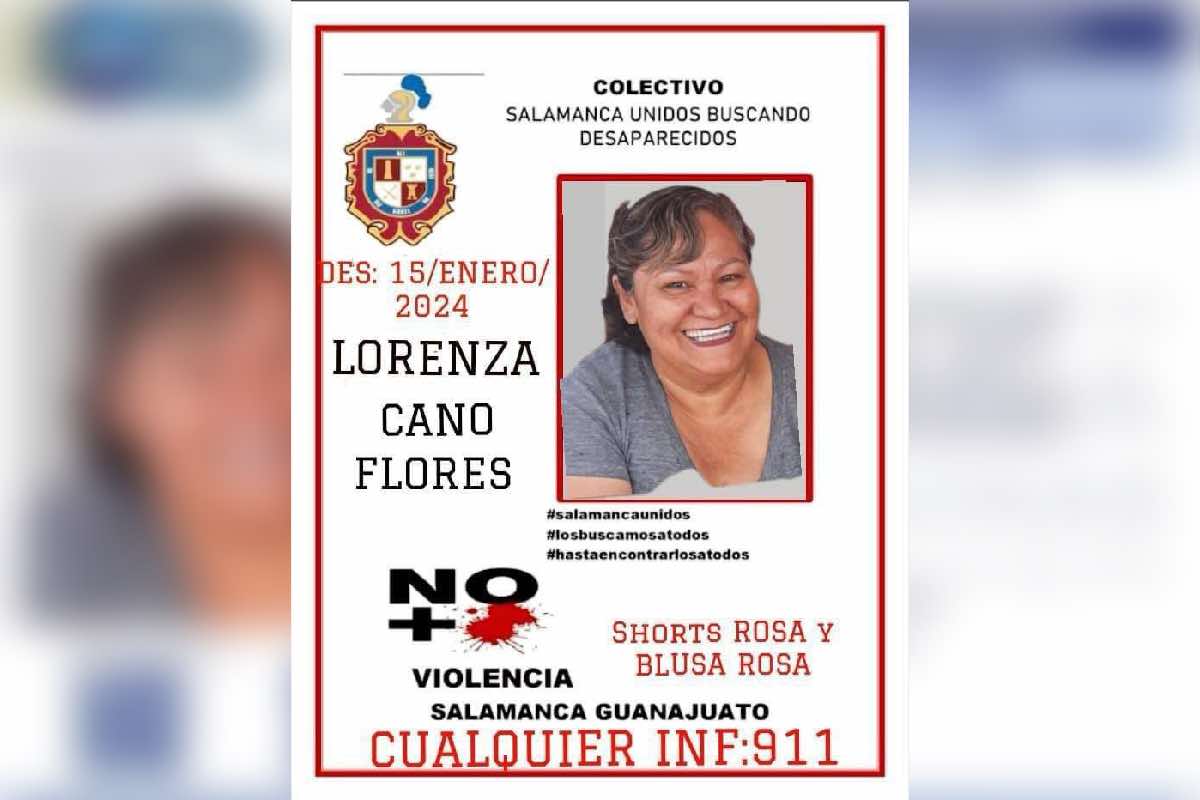 Lorenza Cano Flores desaparecer a quien busca- el secuestro de María de los Ángeles Mazatlán