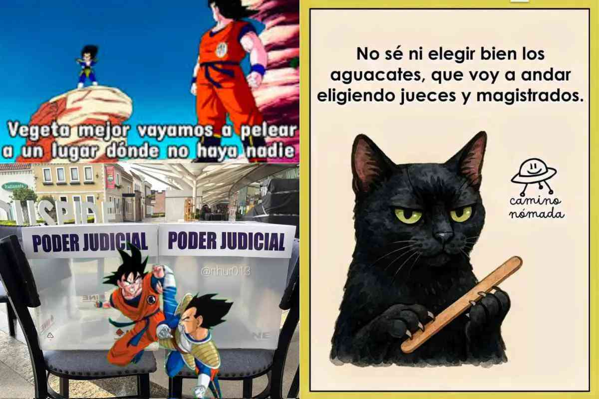 Morena va contra memes y stickers: diputado pide castigar a quien cree, difunda y manipule imágenes 