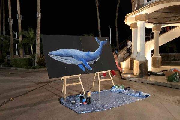 Presentan primera demanda en defensa de las ballenas