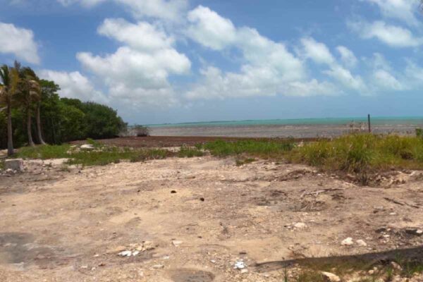 Proyecto sedena daños reserva natural