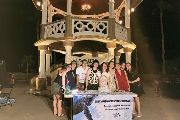 Recaudacion firmas ballenas baja california sur