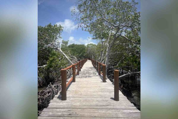 Reserva de la Biosfera de Sian Ka´an dañada por proyecto de la sedena