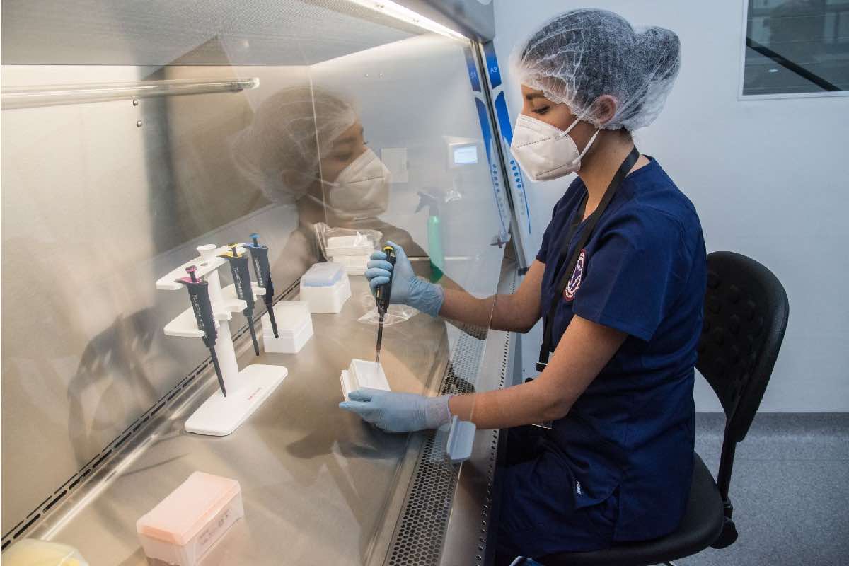 Siintracatedras_denuncias contra la Secihti por despido injustificado